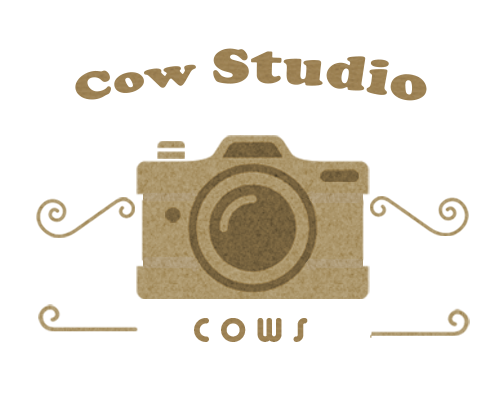 浜松市　家族写真　CowStudio