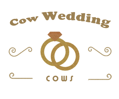 浜松市　結婚式写真　二次会写真　CowWedding