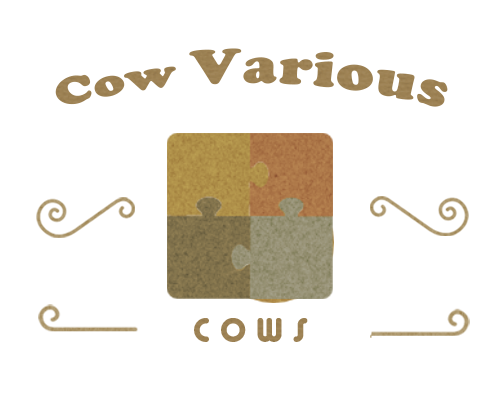 浜松市 Web広告撮影 CowVarious