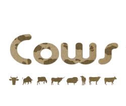 浜松市　Cows